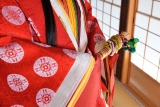 「十二単」と衣紋道のおはなし サムネイル写真2