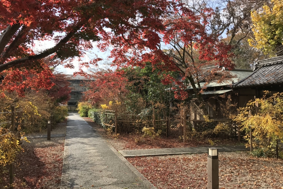 梨木神社　写真3