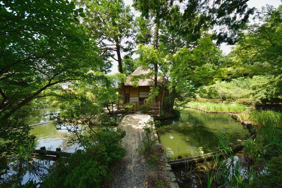 梅宮大社 写真6