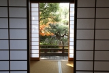浄土宗大本山 清浄華院 サムネイル写真8
