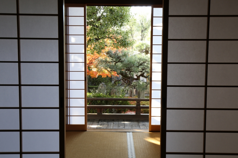 浄土宗大本山 清浄華院 写真8