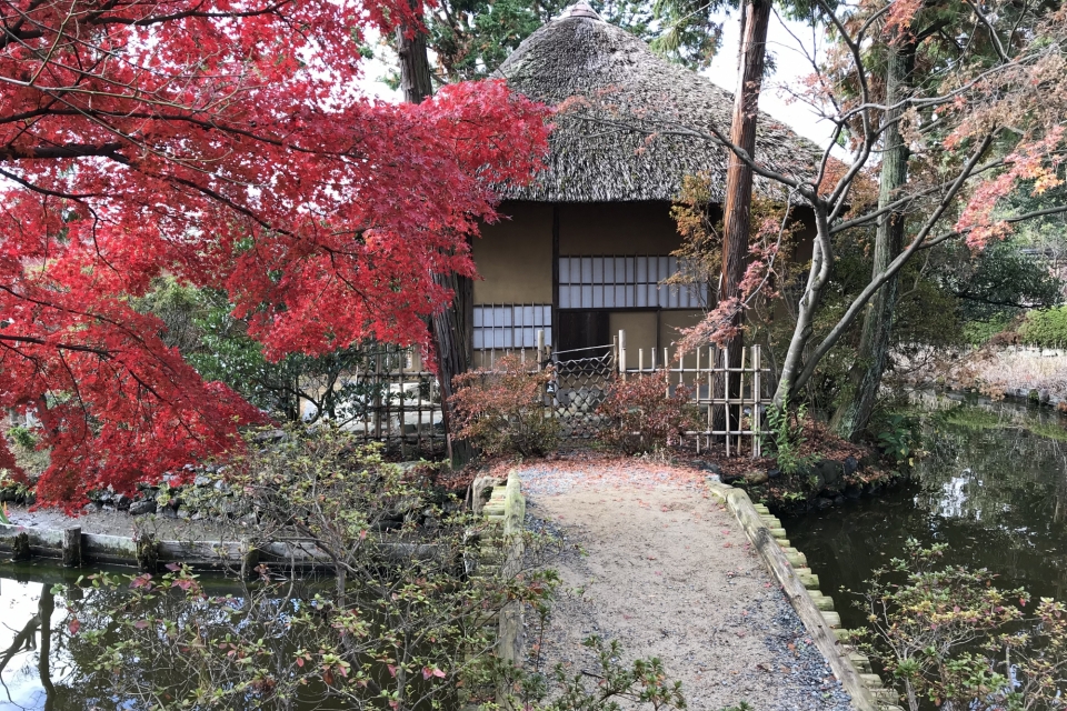 梅宮大社 写真8