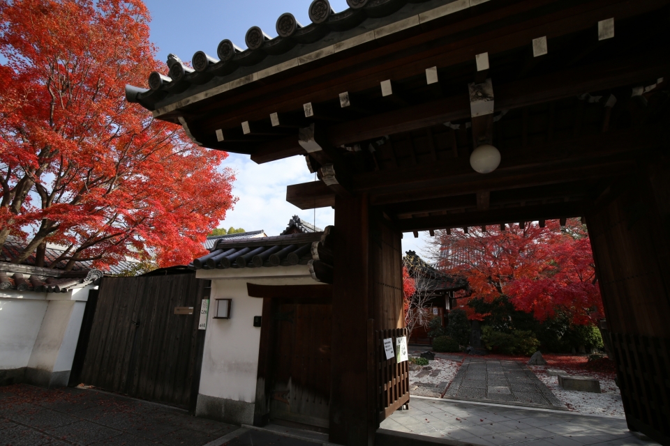 臨済宗妙心寺派 長興院　写真9