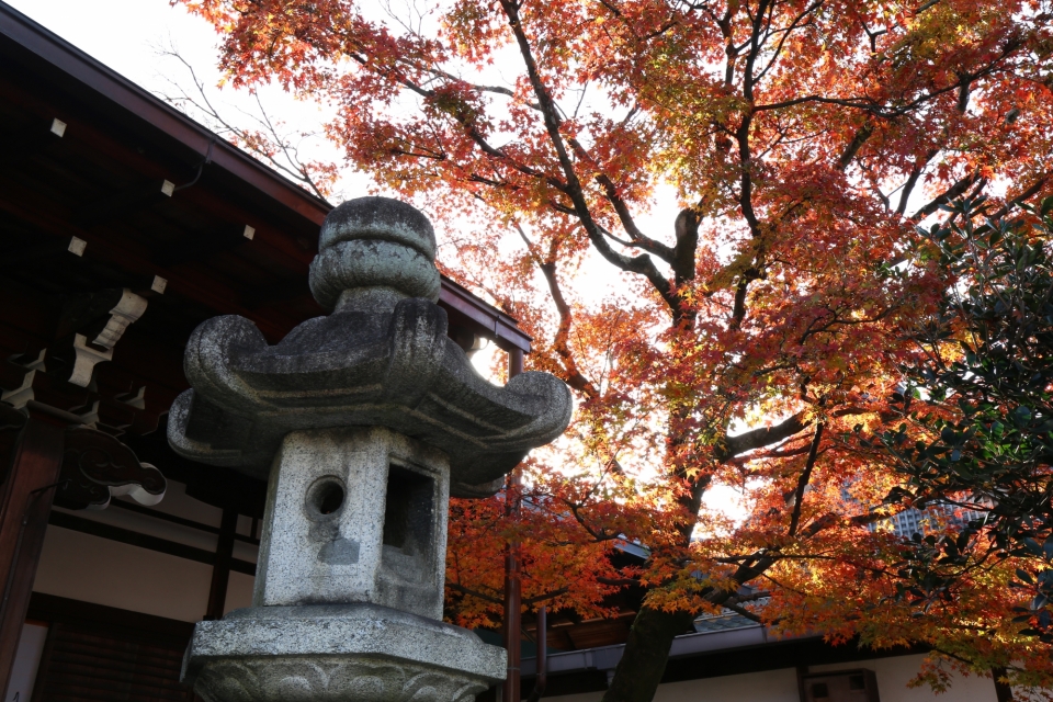 浄土宗大本山 清浄華院　写真9