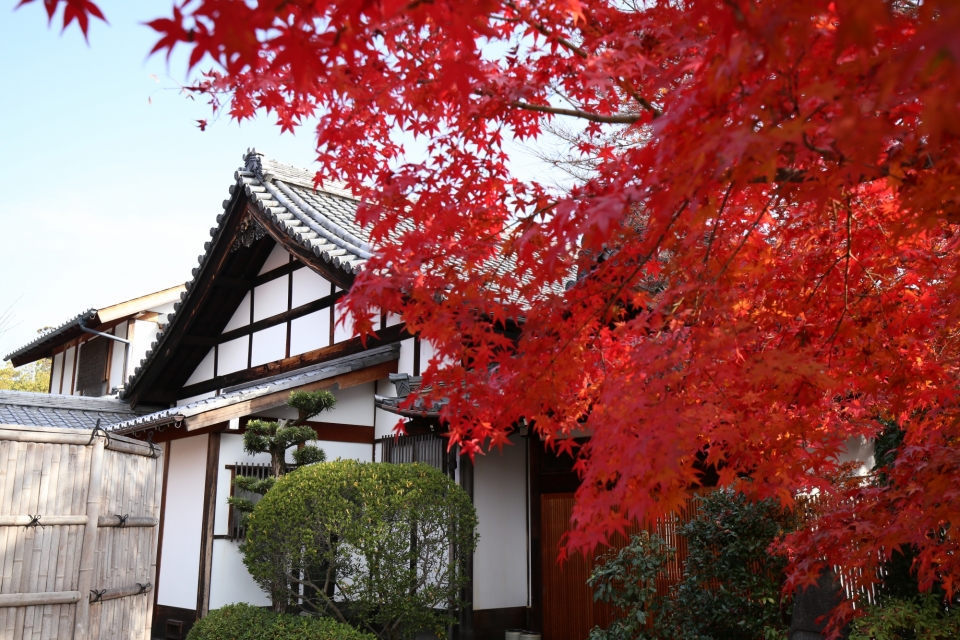 臨済宗妙心寺派 長興院　写真10