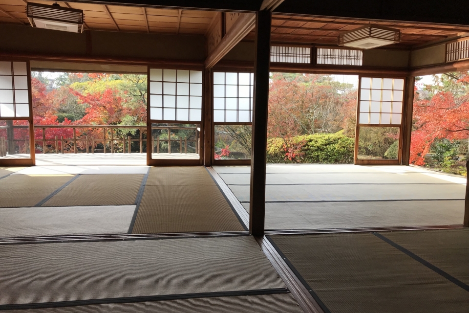 梅宮大社 写真10