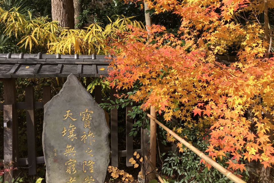 梨木神社 写真10